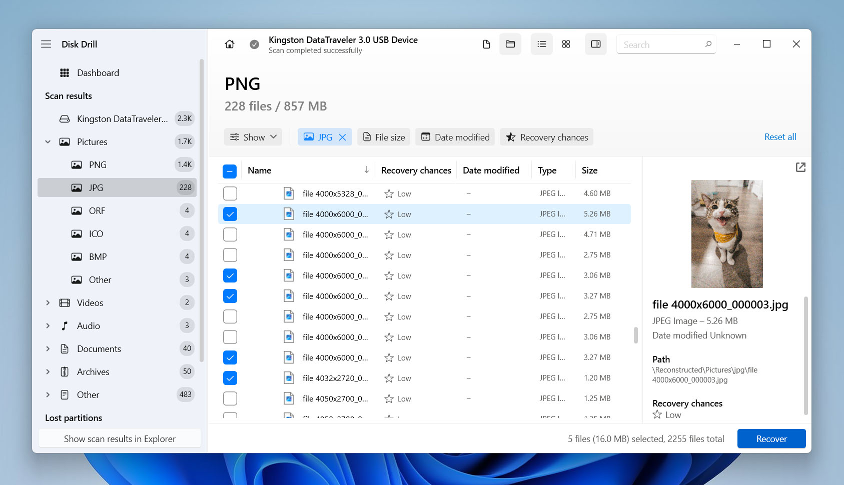 Disk Drill recovery options window with file preview and recovery chances for selected files