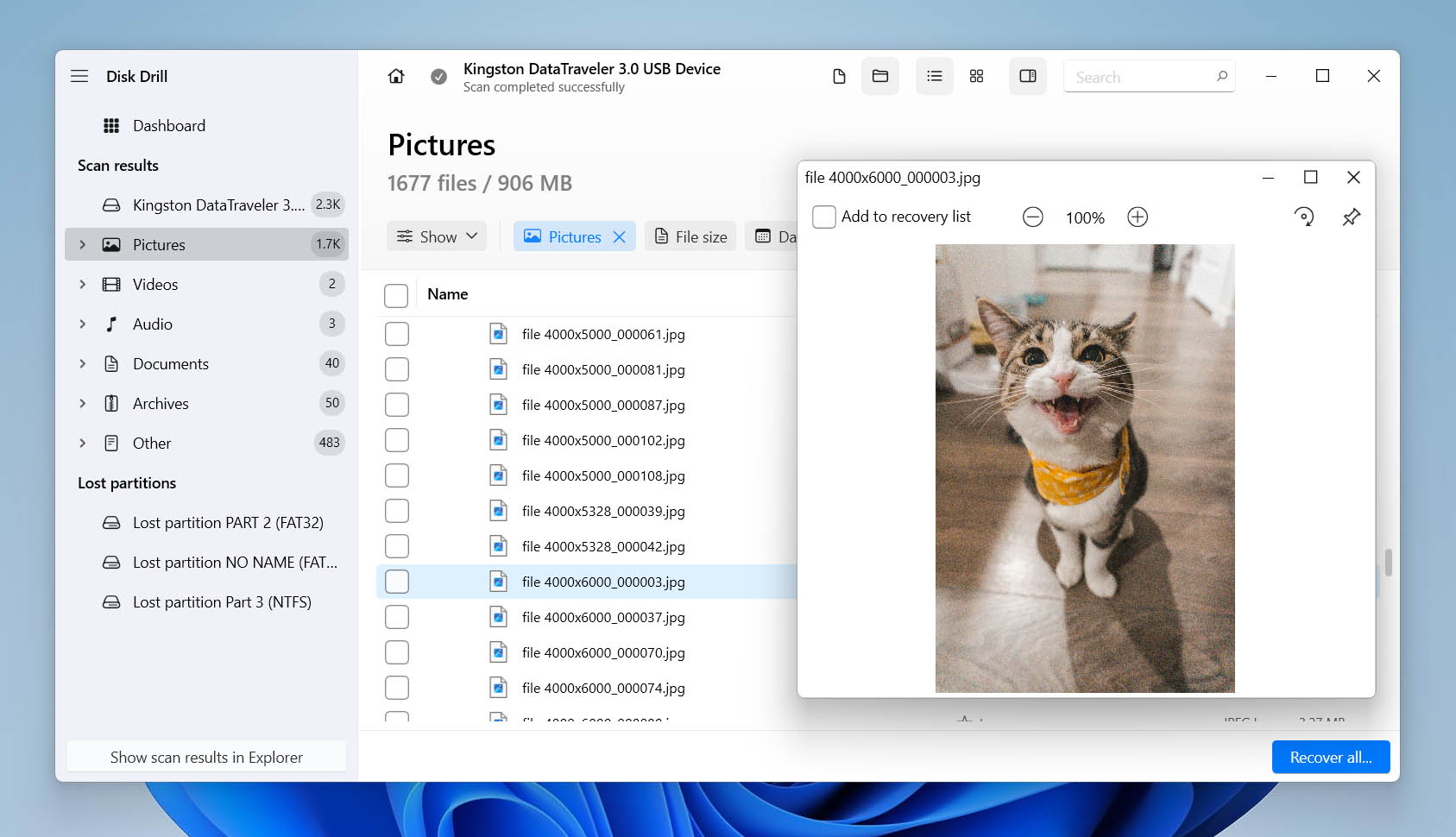 Disk Drill scan results displaying recovered picture files with a preview of a cat photo