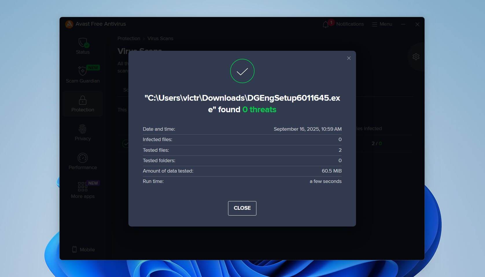 Avast scan report confirming zero threats found in the DGEngSetup file